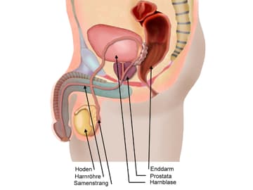 Samenstau! Mädchen rettet seine dicken Eier vor dem Platzen! Samenstau! Mädchen rettet seine dicken Eier vor dem Platzen!